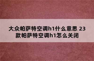 大众帕萨特空调h1什么意思 23款帕萨特空调h1怎么关闭